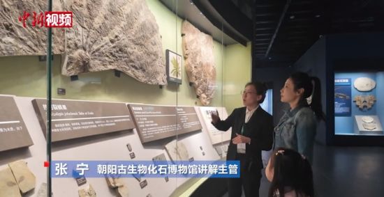 СµVlogСcСѹ̽|ꖹﻯʯ^